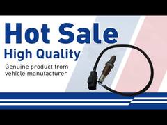 Sensor de oxigénio-31439480