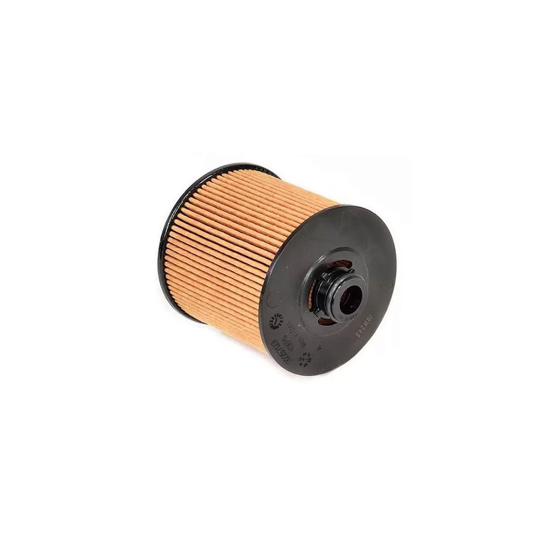Filtro de óleo de gasolina Womala para S80 S60 32257123 B3154T 2019