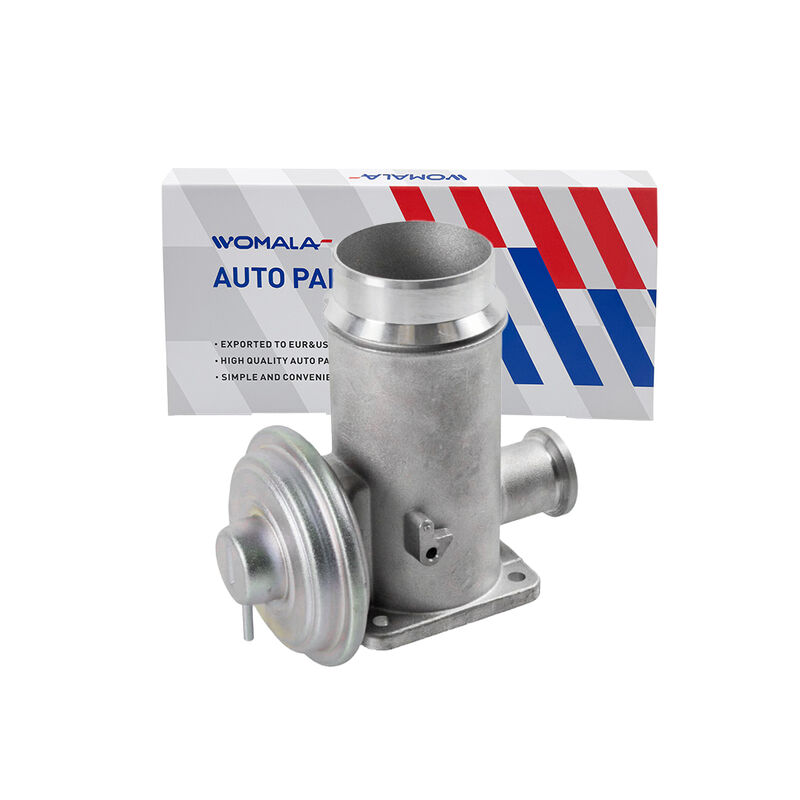 Válvula de Recirculação de Gases de Escape Womala Auto Parts OE 11717792077 Válvula EGR para Bmw